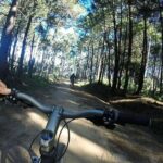 Private Mountain Biking Adventure in Sintra Cascais Park - Why This Tour Is Perfect for You