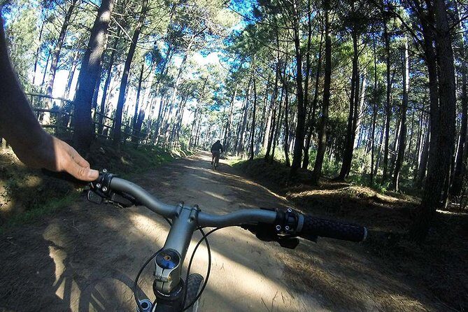 Private Mountain Biking Adventure in Sintra Cascais Park - Why This Tour Is Perfect for You