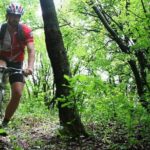 Private Mountain Biking in Vitosha from Sofia - Detailed Breakdown of the Experience