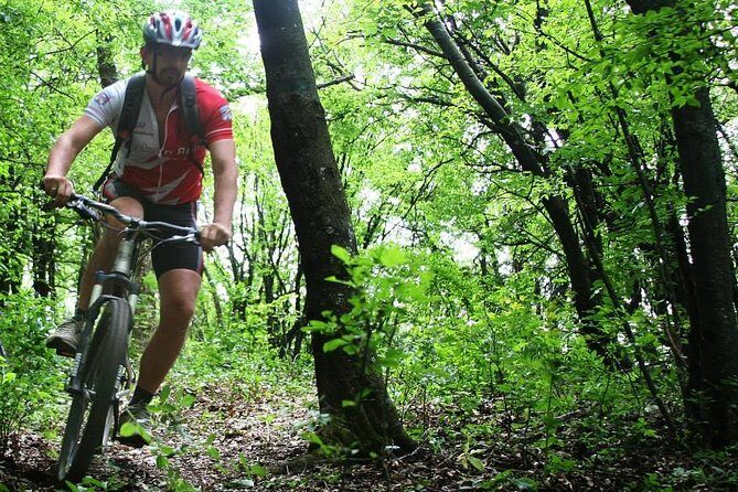 Private Mountain Biking in Vitosha from Sofia - Detailed Breakdown of the Experience