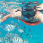 Private MUSA Snorkeling Experience at Isla Mujeres and Cancun - What Makes This Tour Stand Out?