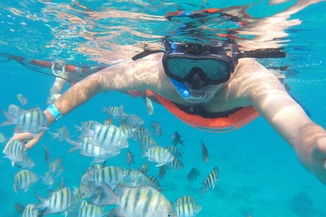 Private MUSA Snorkeling Experience at Isla Mujeres and Cancun - What Makes This Tour Stand Out?
