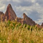 Private Nature Tour for Couples - What to Expect on the Tour