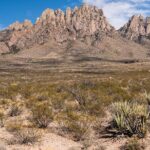 Private NM Taxi Service- Statewide - Why Choose This Tour?