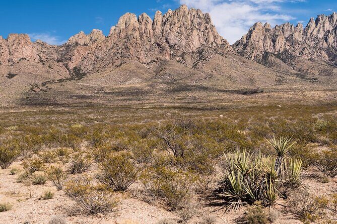 Private NM Taxi Service- Statewide - Why Choose This Tour?