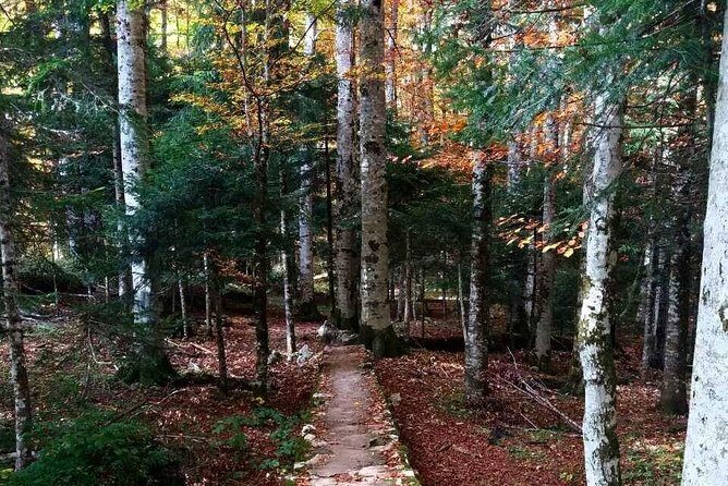 Private north Montenegro tour -Moraca River Canyon and walk trough Virgin Forest - A Deep Dive into the North Montenegro Experience