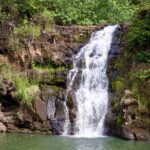 Private North Shore Oahu Tour ft. Waimea Falls-Customizable - Why Choose This Tour?