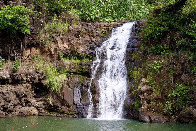 Private North Shore Oahu Tour ft. Waimea Falls-Customizable - Why Choose This Tour?