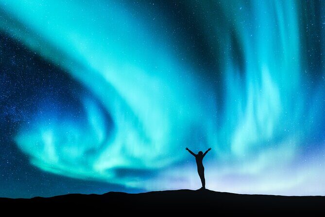 Private Northern Lights Tour with Icelandic Treats and Liquor - Who Would Love This Tour?