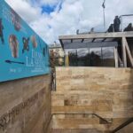 Private Notre Dame outdoor Tour with Crypt. - Deep Dive into the Experience