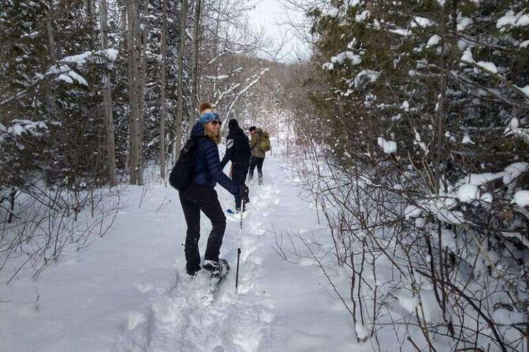 Private Nottawasaga Bluffs Caves Snowshoe-Creemore/Collingwd - Final Thoughts: Who Should Consider This Tour?