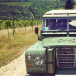 Private Off Road Wine Tour in Chianti from Florence - What the Reviews Say