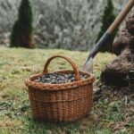 Private Olive Oil and Wine Tasting in Kurilo, Montenegro - Your Guide to the Private Olive Oil and Wine Tasting in Kurilo, Montenegro