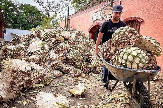 Private One Day Adventure Tour in Tequila and La Fortaleza Distillery - Final Thoughts: Who Will Love This Tour?