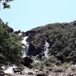 Private One Day Tour through The Deep South - Authentic Experiences and Practical Tips