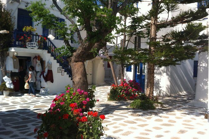 Private Only "The Highlights" Walking tour - What Makes This Tour Stand Out?