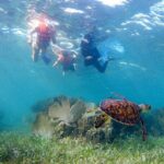 Private (only you) Reef Snorkeling in Puerto Morelos 2x40 minutes - Why This Tour Offers Great Value