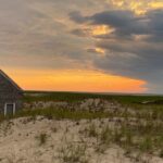 Private Open-Air Pedicab Tour in Provincetown - Who Will Love This Tour?