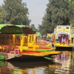 Private or Shared Tour Xochimilco Coyoacán and Frida Kahlo Museum - A Deep Dive into the Tour Experience