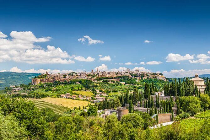 Private Orvieto Daytrip from Rome with Winery Visit - Who Should Consider This Tour?