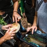 Private Outdoor Escape Room Magisches Portal - Who Will Love This Experience?