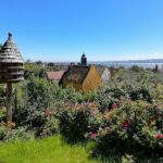 Private Outlander tour from Glasgow or Edinburgh - The Sum Up