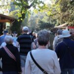 Private Panaromic Ephesus & Surroundings with Small Group Option - In-Depth Look at the Ephesus & Surroundings Tour