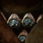 Private Parmigiano Balsamic Parma Ham and Wine Tasting Tour - FAQs