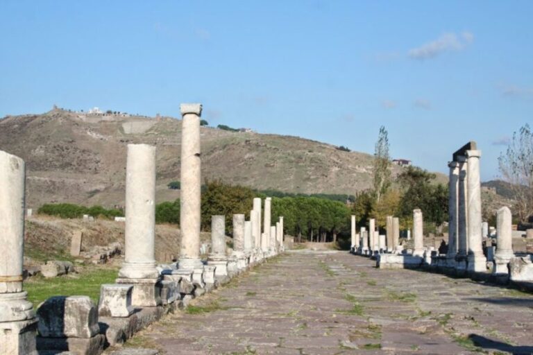 Private Pergamon Day Tour from Istanbul by Plane - A Deep Dive into the Pergamon Private Day Tour