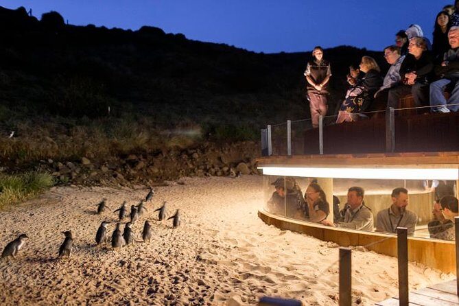 Private Phillip Island Day Trip from Melbourne Including Penguin Parade Premium Viewing - Analyzing the Value