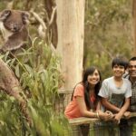 Private Phillip Island Penguin Parade Tour - A Deep Dive into the Experience