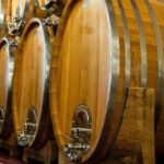 Private PICNIC in Bohemian Vineyards and Wine Tasting 4WD Tour - The Itinerary Breakdown: What You Can Expect