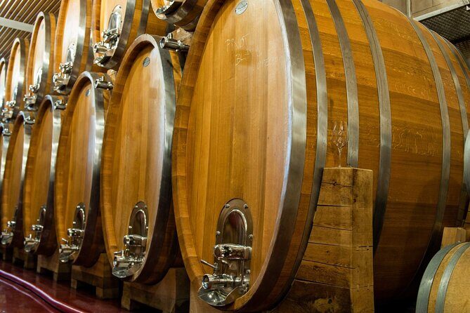 Private PICNIC in Bohemian Vineyards and Wine Tasting 4WD Tour - The Itinerary Breakdown: What You Can Expect