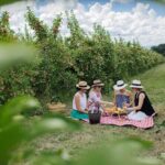 Private Picnic Lunch Experience in Orange with Wine - Why This Tour Offers Real Value