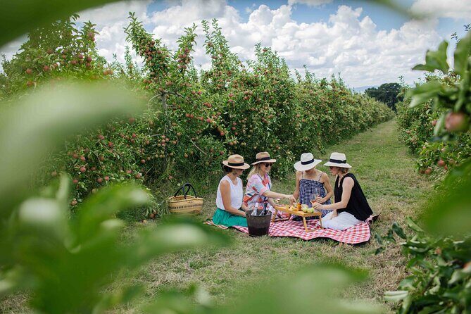 Private Picnic Lunch Experience in Orange with Wine - Why This Tour Offers Real Value