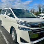 Private Piha Beach, Rainforest Adventure & Mt. Eden with Guide - Practical Details