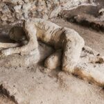 Private Pompeii Day Trip from Rome - Who Will Love This Tour?