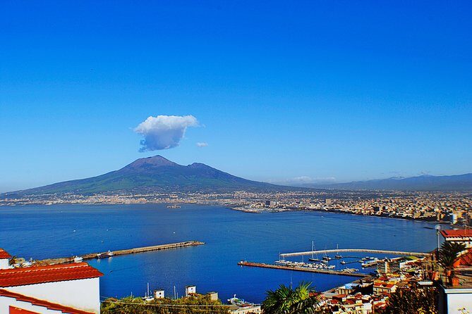 Private Pompeii Herculaneum and Vesuvius Full-Day Shore Excursion - Who Will Love This Tour?