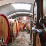 Private Pompeii, Herculaneum and Winery Tour from Naples - Final Thoughts