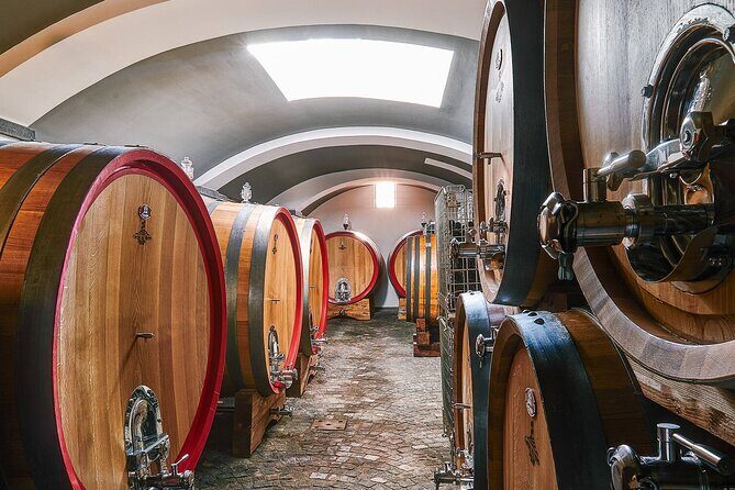 Private Pompeii, Herculaneum and Winery Tour from Naples - Final Thoughts