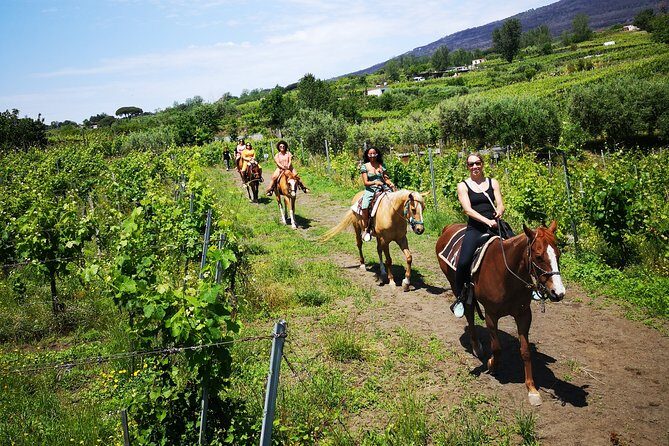 Private Pompeii, Horse Riding & Lunch Tour w/ Pick up included - An In-Depth Look at the Private Pompeii, Horse Riding & Lunch Tour