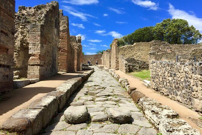 Private Pompeii Tour From Sorrento with Pick Up and Drop Off - FAQ
