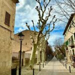 PRIVATE Port de Sóller, Sóller, and Sa Foradada Sunset Tour - What the Tour Includes and What It Doesn’t