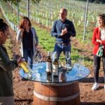 Private Porto Santiago Compostela Tour with Albariño Wine - FAQs