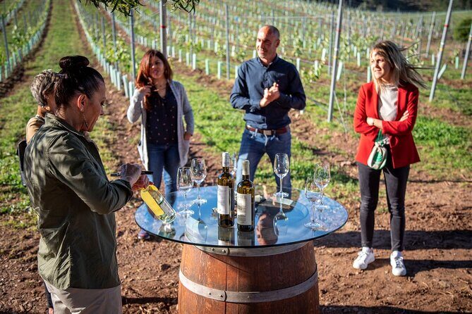 Private Porto Santiago Compostela Tour with Albariño Wine - FAQs