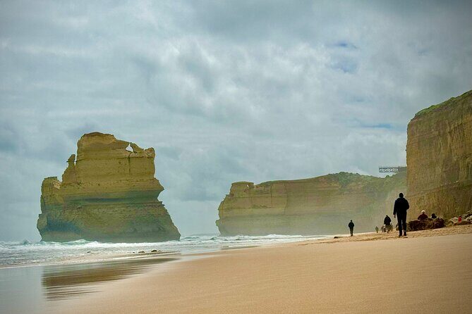Private Premium Great Ocean Road with Lunch & Wildlife spotting - Frequently Asked Questions