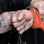 Private Prison Van Escape Game - London Immersive Experience - Who Will Love This Experience?