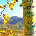 Private Prosecco Tour, with a certified Sommelier - Final Thoughts: Is This Tour for You?