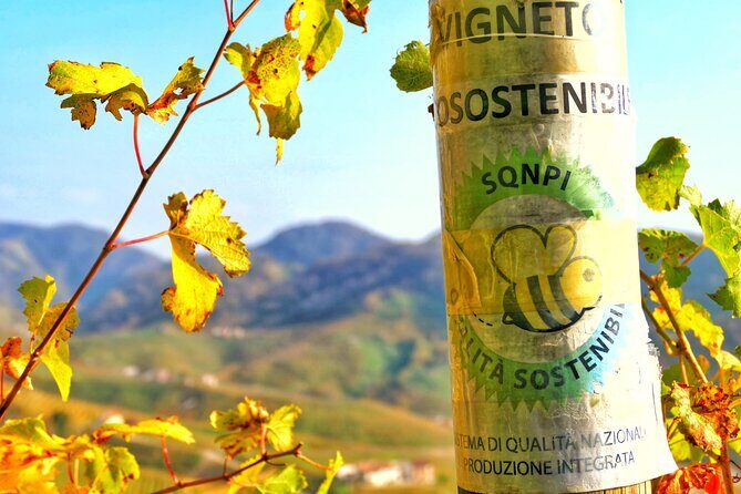 Private Prosecco Tour, with a certified Sommelier - Final Thoughts: Is This Tour for You?