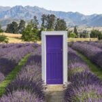 Private Queenstown and Wanaka City Day Tour - An In-Depth Look at the Queenstown and Wanaka Day Tour